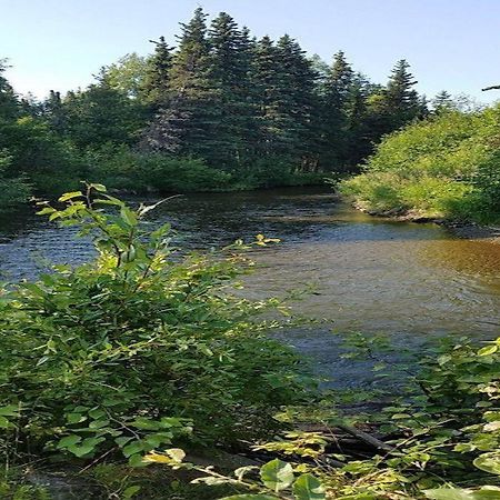 Moose Meadows- Near The Airport, Centrally Located Anchorage Esterno foto