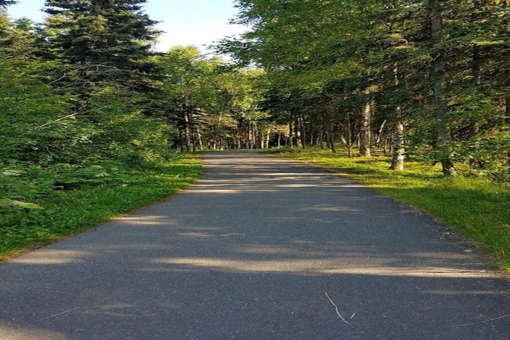 Moose Meadows- Near The Airport, Centrally Located Anchorage Esterno foto